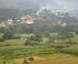 Sept 2013 Portugal Landscape